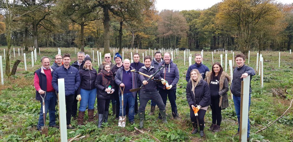 Tree Planting